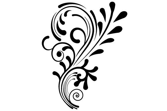 Black White Flower: A Designer’s Real-World Embroidery Review